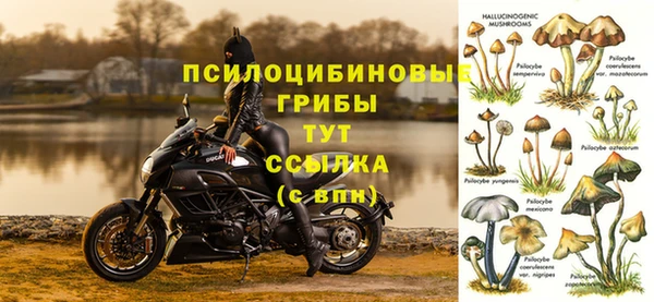 таблы Алзамай