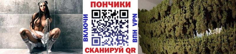 Марихуана тримм  Асино 